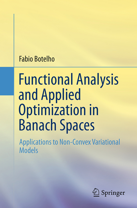 Functional Analysis and Applied Optimization in Banach Spaces - Fabio Botelho