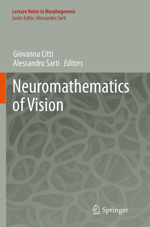 Neuromathematics of Vision - 