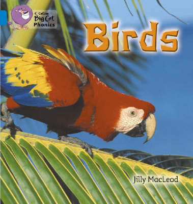 Birds - Jilly McLeod