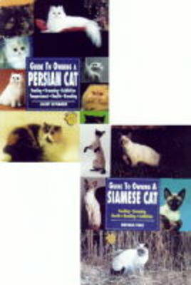 Guide to Owning a Himalayan Cat - Coleman McDonald