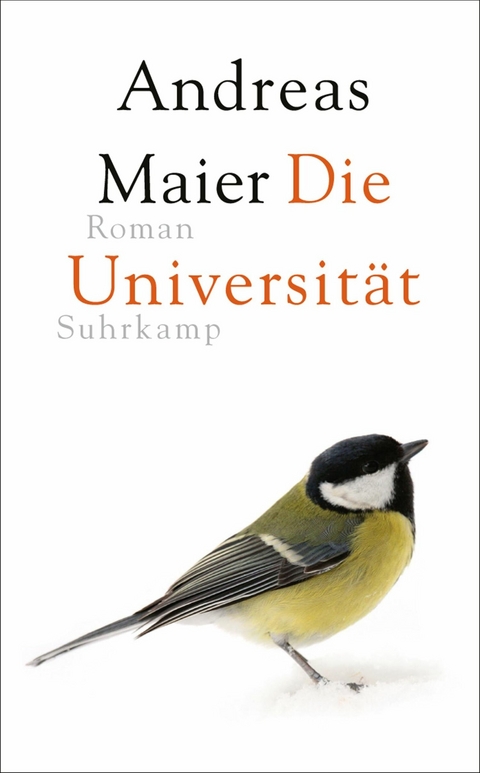 Die Universität -  Andreas Maier
