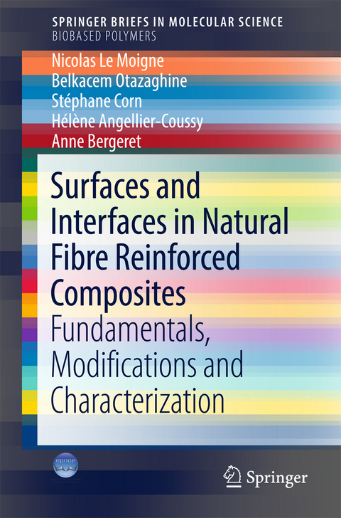 Surfaces and Interfaces in Natural Fibre Reinforced Composites - Nicolas Le Moigne, Belkacem Otazaghine, Stéphane Corn, Hélène Angellier-Coussy, Anne Bergeret
