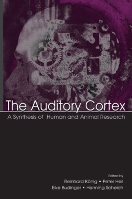 The Auditory Cortex - 