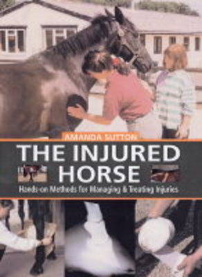 The Injured Horse - Amanda Sutton