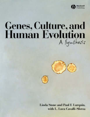 Genes, Culture, and Human Evolution - Linda Stone,  Paul F. Lurquin, L. Luca Cavalli-Sforza