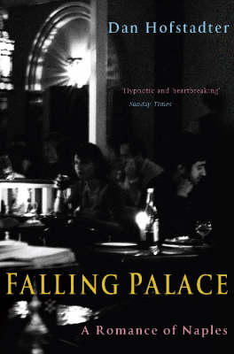 Falling Palace - Dan Hofstadter