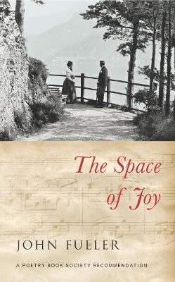 The Space of Joy - John Fuller