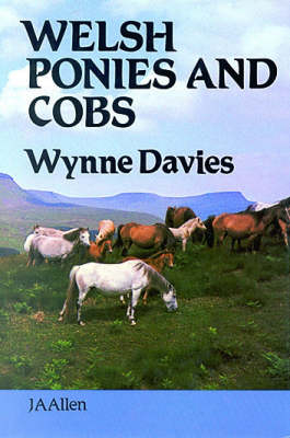 Welsh Ponies and Cobs - Wynne Davies