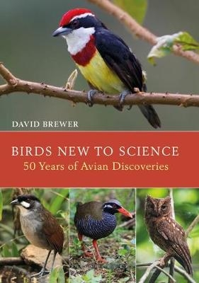 Birds New to Science -  Mr David Brewer