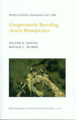 Population Ecology of the Cooperatively Breeding Acorn Woodpecker. (MPB-24), Volume 24 - Walter D. Koenig, Ronald L. Mumme