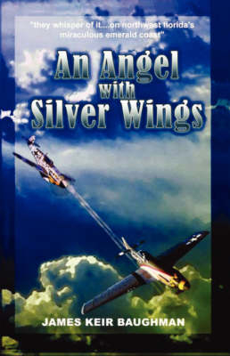 An Angel With Silver Wings - James Keir Baughman