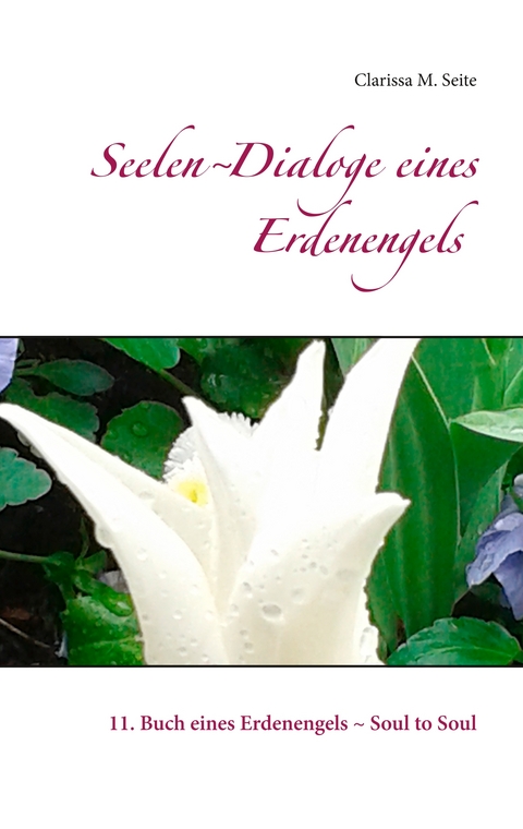 Seelen-Dialoge eines Erdenengels - Clarissa M. Seite