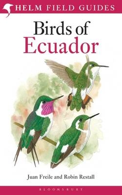 Field Guide to the Birds of Ecuador -  Juan Freile,  Robin Restall