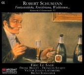 Klavierwerke & Kammermusik, 2 Audio-CDs. Vol.6 - Robert Schumann