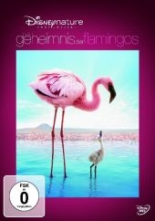 Das Geheimnis der Flamingos, 1 DVD