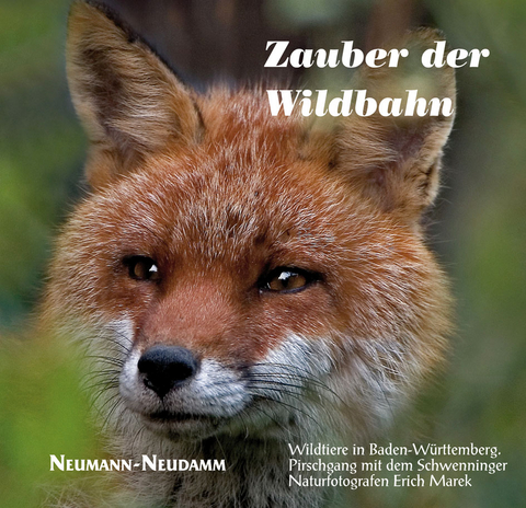 Im Zauber der Wildbahn