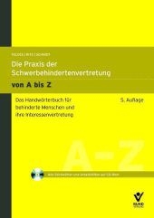 Die Praxis der Schwerbehindertenvertretung von A bis Z - Jürgen Schmidt, Hans Günther Ritz, Werner Feldes