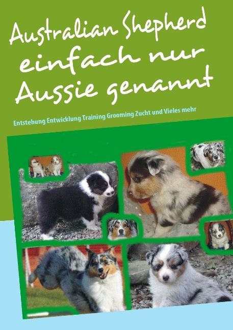 Australian Shepherd einfach nur Aussie genannt - Bettina Birkner