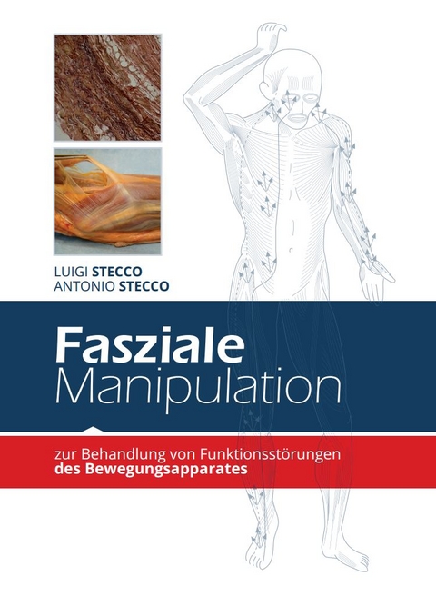 Fasziale Manipulation zur Behandlung von Funktionsstörungen des Bewegungsapparates - Luigi Stecco, Antonio Stecco
