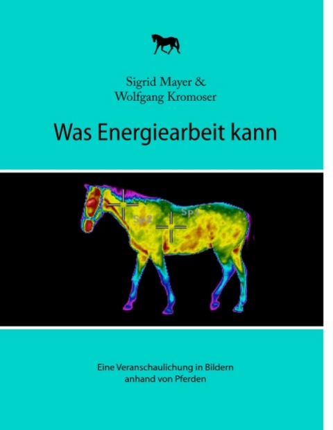 Was Energiearbeit kann - Sigrid Mayer, Wolfgang Kromoser