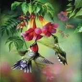 Kolibris im Sommer (Puzzle) - 