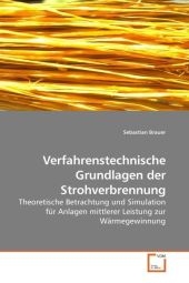 Verfahrenstechnische Grundlagen der Strohverbrennung - Sebastian Brauer
