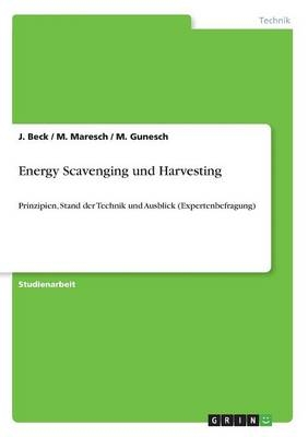 Energy Scavenging und Harvesting - J. Beck, M. Gunesch, M. Maresch