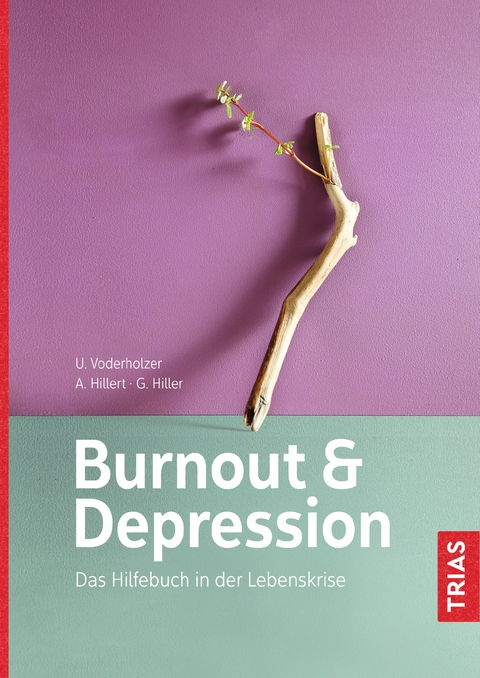 Burnout und Depression - Ulrich Voderholzer, Andreas Hillert, Gabriele Hiller