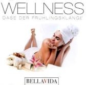 Wellness - Oase der Frühlingsklänge, 1 Audio-CD