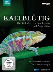 Kaltblütig, 2 DVDs - 