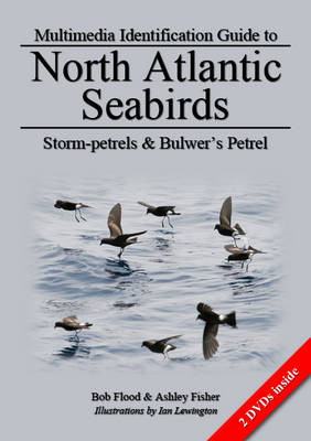 Storm-Petrels and Bulwer's Petrel -  Ashley Fisher,  Robert L. Flood