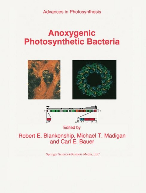 Anoxygenic Photosynthetic Bacteria - 