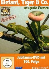 Das große Fressen, DVD