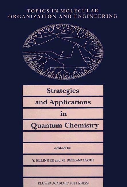 Strategies and Applications in Quantum Chemistry - 
