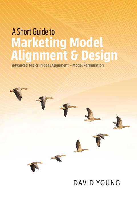 Short Guide to Marketing Model Alignment & Design -  David Young