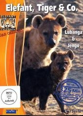 Lubanga & Jengo, DVD