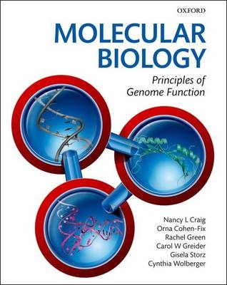 Molecular Biology - Nancy Craig, Rachel Green, Carol Greider, Gisela Storz, Cynthia Wolberger