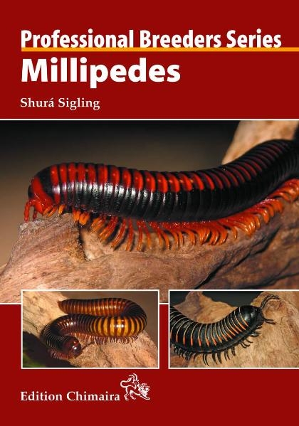 Millipedes - Shurá Sigling