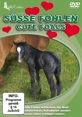 Süsse Fohlen / Cute Foals, DVD
