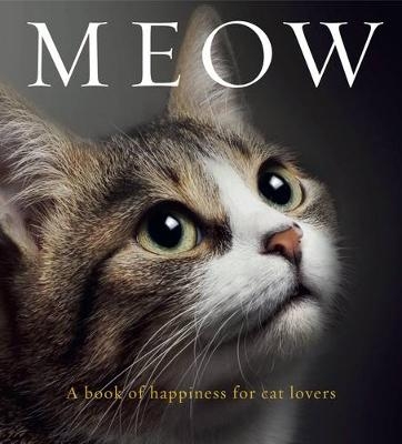 Meow - 
