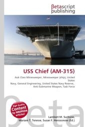 USS Chief (AM-315) - 