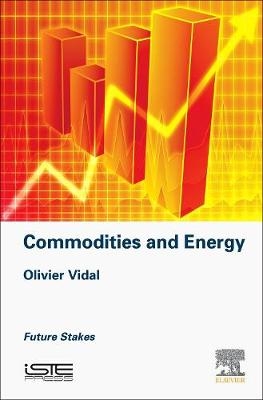 Mineral Resources and Energy -  Olivier Vidal