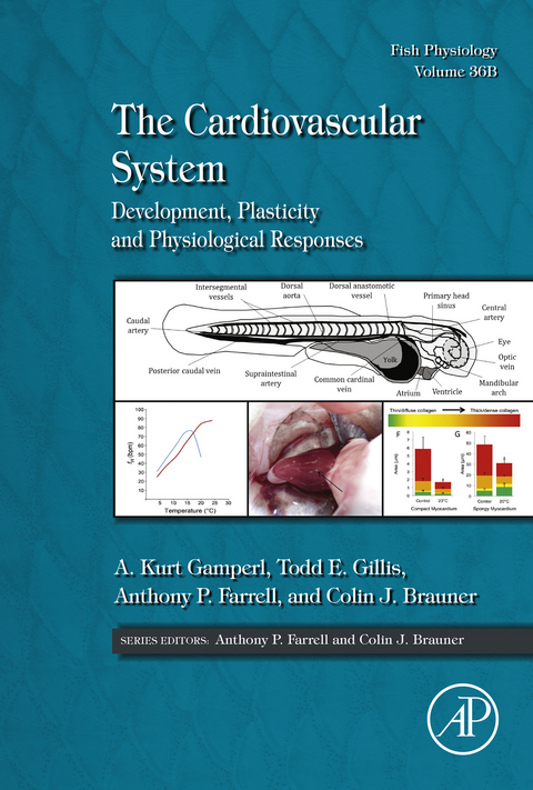 Cardiovascular System - 