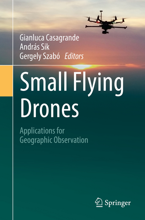 Small Flying Drones - 
