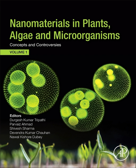 Nanomaterials in Plants, Algae, and Microorganisms - 