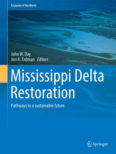 Mississippi Delta Restoration - 