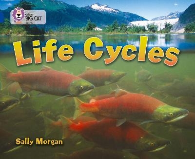 Life Cycles - Sally Morgan