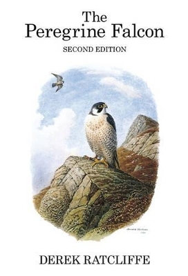 The Peregrine Falcon - Derek Ratcliffe