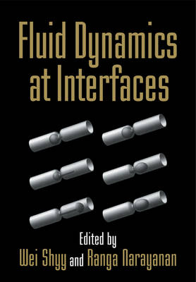 Fluid Dynamics at Interfaces - 