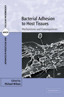 Bacterial Adhesion to Host Tissues - 